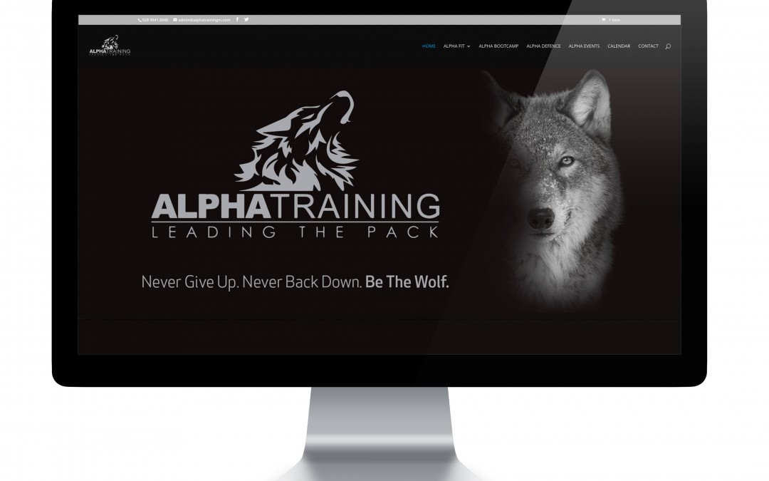 Alpha Training NI